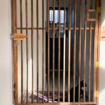 パパに『もっとスマートな猫の脱走防止扉作って』と無茶ぶりしたら…想像を超える"結果"に大絶賛「天才すぎる」「ええ！めっちゃすごい」