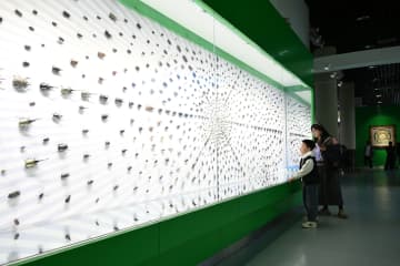 豊富な昆虫標本など収蔵、西北農林科技大学博覧園　中国陝西省