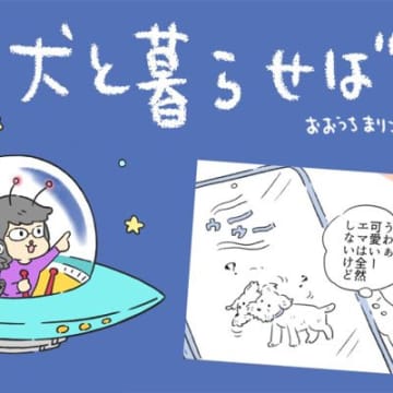 犬と暮らせば【第514話】「ソレの意味ナニ」