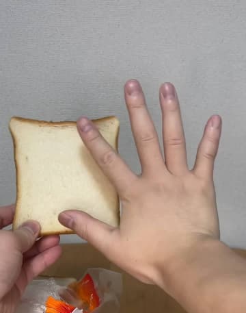 アンパンマンカメラで&quot;国際写真賞&quot;を受賞⁉デカすぎる手にネット民驚愕！常識を超えたYouTuberの企画3選！