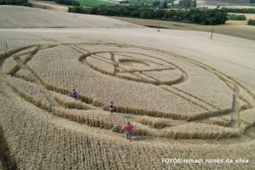 ブラジルにミステリーサークル（アグログリフ）出現　地元住民「とにかく動物たちが落ち着かなかった」