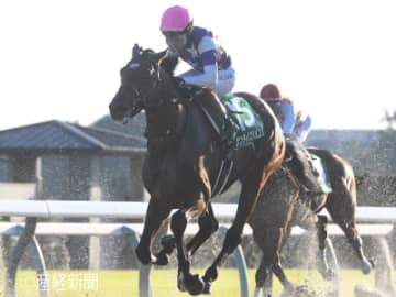 【みやこS】2桁人気馬が3着以内に入る可能性あり！過去10年の傾向から見る人気と配当