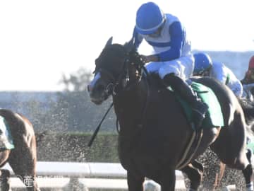 【みやこS】ＯＰ特別組は侮れない！好成績を残しているステップとは！？ステップレースから見る過去10年の傾向