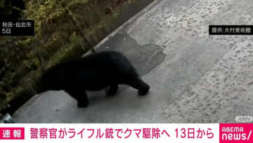 警察官がライフル銃でクマ駆除へ 13日から