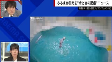 ラッコのライブ配信に謎のモザイクが出現…「過度な言動」から飼育員を守るため 鳥羽水族館