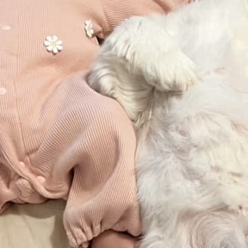 『赤ちゃん2人産んだっけ？』ベッドで寝転ぶ赤ちゃん→隣で犬が…まさかの『シンクロ』に3万いいね「頼もしいベビーシッター」「幸せすぎる」