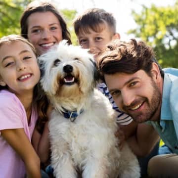 犬が『家族』に対して抱いている気持ち5選　愛犬にとってどんな存在？絆を深めるコツまで