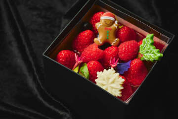 大阪ステーションホテルの25年クリスマスケーキ、“苺＆ベリーたっぷり”ボックス型ショートケーキ