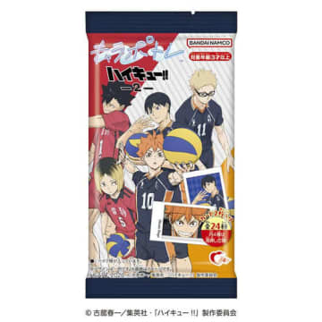 「ハイキュー!!」日向や研磨、影山などのポートレートが登場！「ゴミ捨て場の決戦」の場面写真などラインナップ