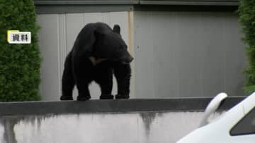 配達再開は現地郵便局の判断…クマ出没で日本郵便が秋田県内の一部地域で配達見合わせ