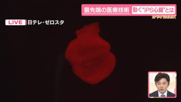 【カラダWEEK】最先端技術！動く“iPS心臓”重症患者治療に期待　万博でも話題に　無料で一般公開中