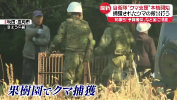 自衛隊“クマ支援”本格開始　捕獲後の搬出担う　警察官も13日からライフル銃で駆除へ