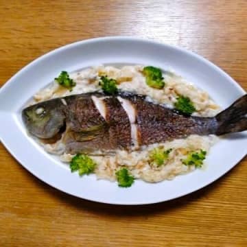 天然魚クエスト イサキのクリーム煮