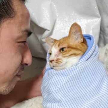 バンド仲間からの質問→『猫の可愛さってピークを過ぎたら低下する？』→飼い主の"涙が出る返答"が40万表示「うるっときた」「泣ける」