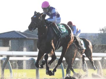 【みやこS】注目すべきは当日の人気！交流重賞組で見る攻略POINT