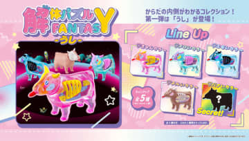からだの内側がわかる！「解体パズルFANTASY-うし-」が2026年2月発売決定新シリーズ第1弾は全5色ラインナップ