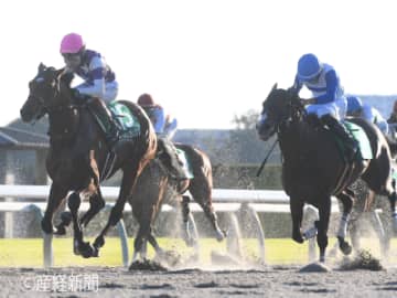 【みやこS】潮目が変わった！？軽視危険な馬とは？馬齢で見る攻略POINT