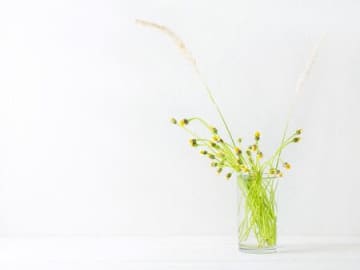 11月7日（金）今日は3つの吉日が重なるラッキーデー！夕方以降にやるといいことがありますよ♪