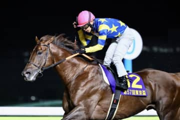 ドンフランキーが登録抹消…優駿スタリオンステーションで種牡馬入りへ