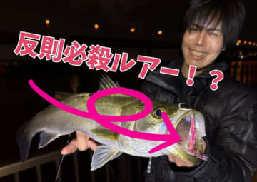 コスパ良しの必殺ルアー！秋の東京湾攻略の奥の手投入でシーバスゲット！【週刊！東京湾シーバス情報】