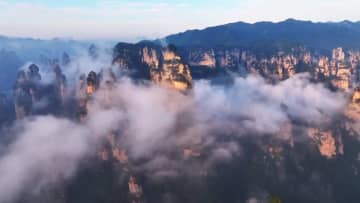 張家界を彩る木々と雲海　中国湖南省