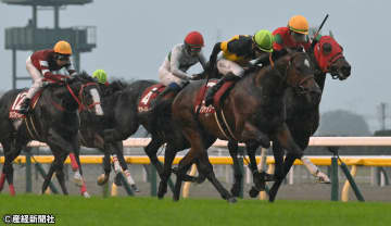 【京王杯２歳Ｓ】体重大幅増の関西馬は連対率43％のハイアベレージ!? 過去10年の傾向から考える攻略ポイント