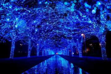 「青の洞窟」渋谷～代々木公園ケヤキ並木で青い光のイルミネーション、雪だるまの巨大バルーンも