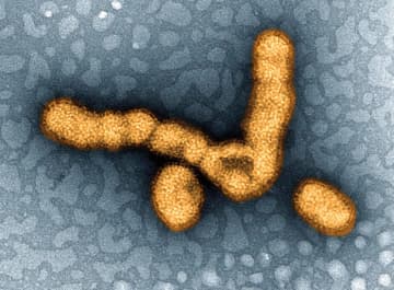インフル流行、注意報レベル　前週比2倍超、全国で増加