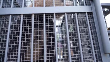 パンダ13頭、保護研究センターの新拠点に引っ越し　中国四川省