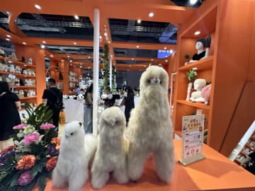 消費財エリアにかわいいぬいぐるみ大集合　第8回中国輸入博