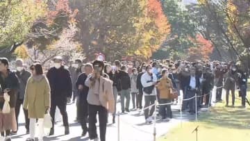 皇居・乾通り「秋の一般公開」11月29日から9日間開催　紅葉のイロハモミジやトウカエデ見られそう