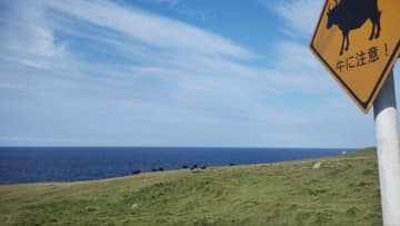 長崎県でワーケーション！旅も仕事もサイコーでした
