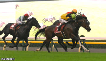 【京王杯２歳Ｓ】ルメール騎手が最優先で軸候補！ 過去10年の傾向から見えてくる3連単を的中させる戦略とは