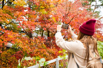 秋のイベントで“ギガ不足”に備えるなら。「ギガの永久繰り越し」ができるy.u mobileの魅力とは？
