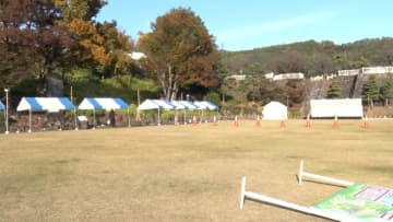 クマ出没で各地の週末イベントに影響　山梨・甲府市はイベント会場1.5kmに出没…対策強化　秋田県内では「中止」相次ぐ