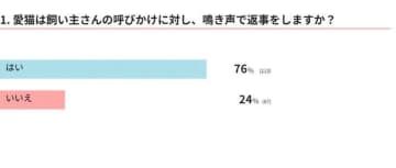 7割の猫が呼びかけに“鳴き声で返事”!? 　飼い主さんへの反応の理由と対応方法を獣医師が解説