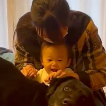 赤ちゃんと一緒に入院から帰ってきたら、大型犬が…思わず感動する『６日ぶりのおかえりなさい』が10万再生「大切な兄妹なんだ」「嬉しそう」