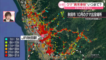 クマ出没急増の“異常事態”いつまで？　ブナの実不作に加え他の要因も…【#みんなのギモン】