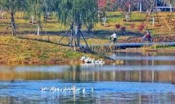 北京の市内と副都心を観光船で結ぶコースが試験運行の段階へ―中国