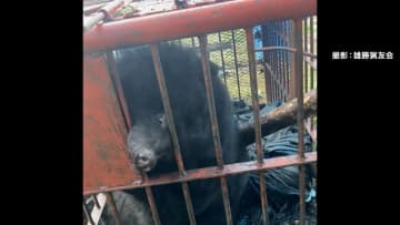 鉄おりにかみつき大暴れ“凶暴クマ”に関東でも戦々恐々…「早く冬眠してほしい」児童・生徒にクマ鈴配布する自治体も