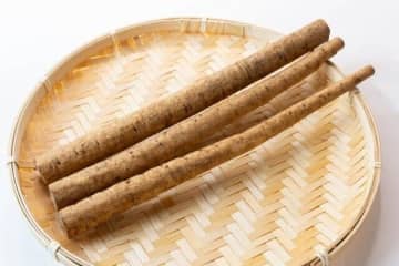 じつは避けたほうがいいかも？野菜のプロが教える「ごぼう」のもったいない食べかた