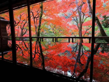 【2025年】京都で人気の紅葉スポットランキング！ 2位は「嵐山」、1位は？【専門家のおすすめも】