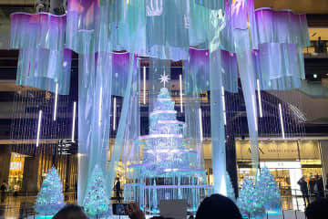 「すごいやん…」通行人も思わず二度見、梅田に幻想的なツリーが早くも登場