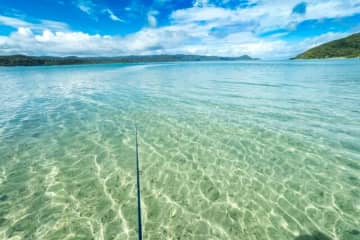 憧れのフラットシャロー！　フライフィッシングと昆虫観察、トレッキングを満喫した奄美大島【鹿児島県】