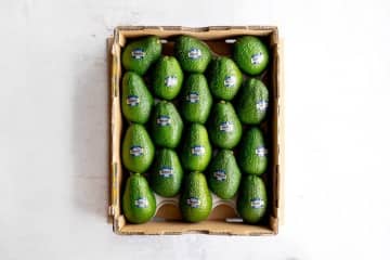 NZから旬の便り アボカド〈アバンザ〉 東京ミッドタウンの人気カフェとコラボメニュー