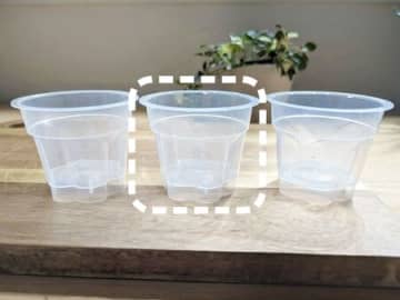 3個パックの『プッチンプリン』のカップ、実は優秀すぎた…！捨てる前に試したい便利でユニークな使い道♪