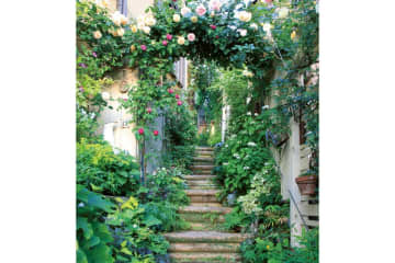 狭さをカバーするガーデニングアイデア「色使い」と「空間利用」の実践5例