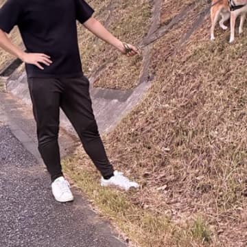 犬の散歩中に『大きい車が通った』結果→思った以上にビビってしまい…まさかの行動に2万いいね「ヤギみたいｗｗ」「危機管理能力が高め」