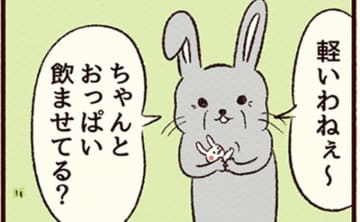 「軽いわねぇ～。ちゃんとおっぱい飲ませてる？」通りがかりの先輩ママうさぎに言われたこと【くま育児・森の仲間編３】