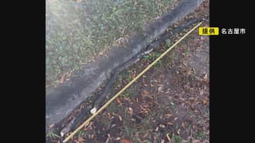 伐採にはジレンマも…「都心の緑ある憩いの場」でケヤキの枝が落下し小学生2人がケガ “枯れて数年経過”か